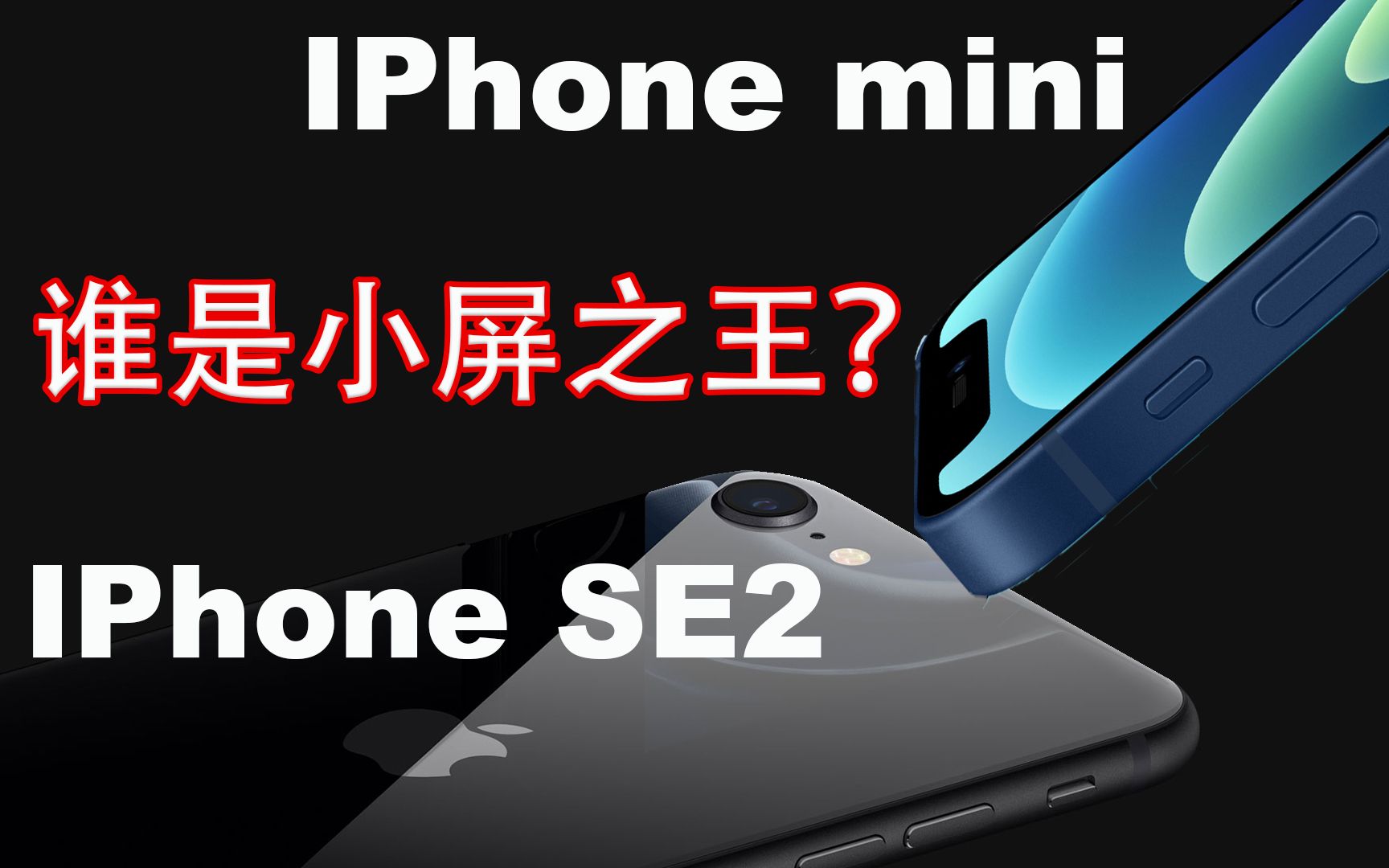 IPhone Mini VS SE2 Сֻôѡ