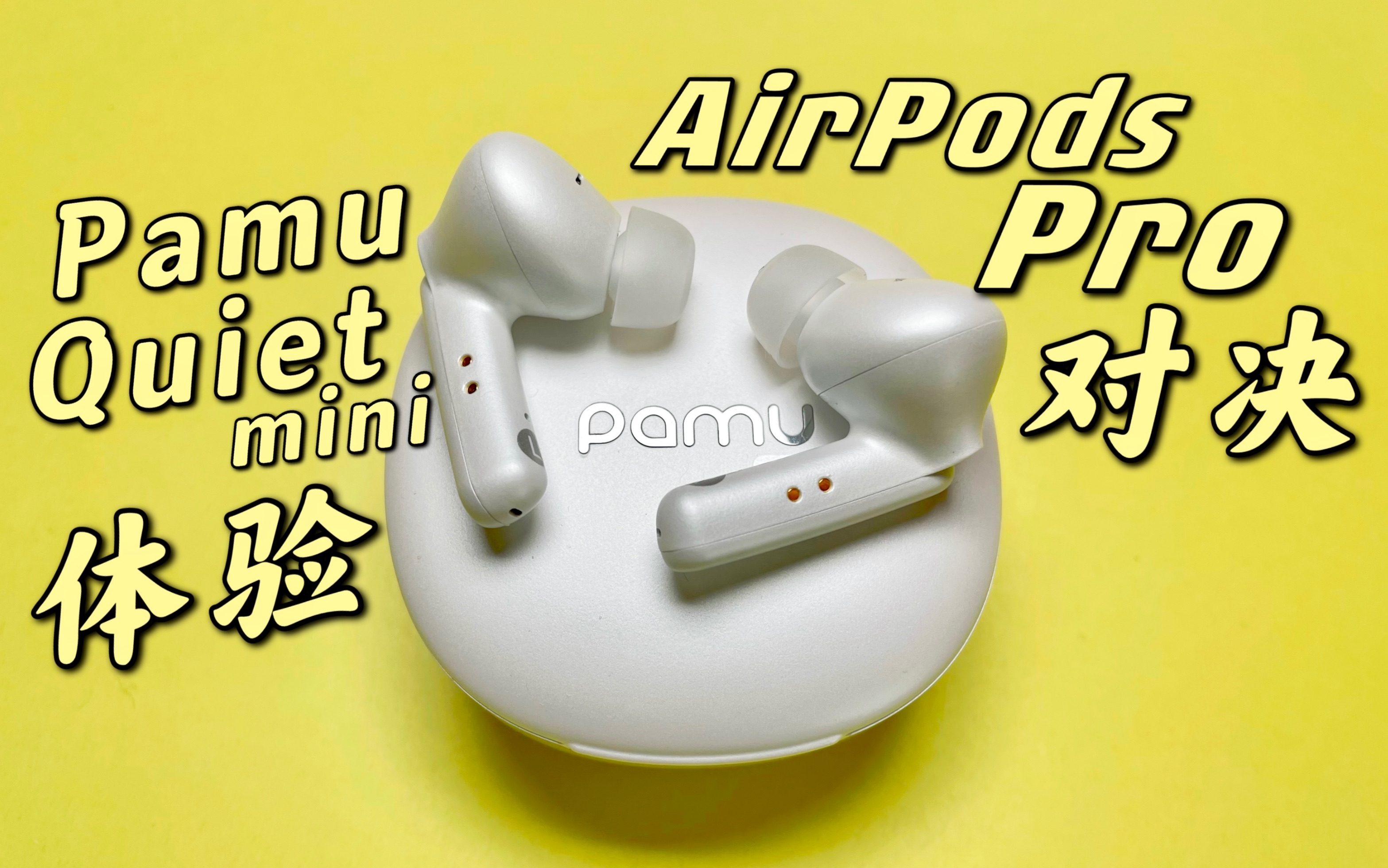 AirPods Pro忪ȽPaMu Quiet Mini