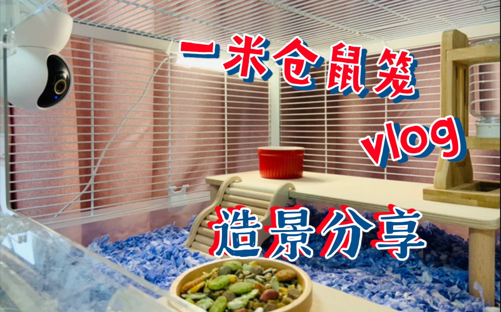 쾰һ׳޴Ӹβãܡ
