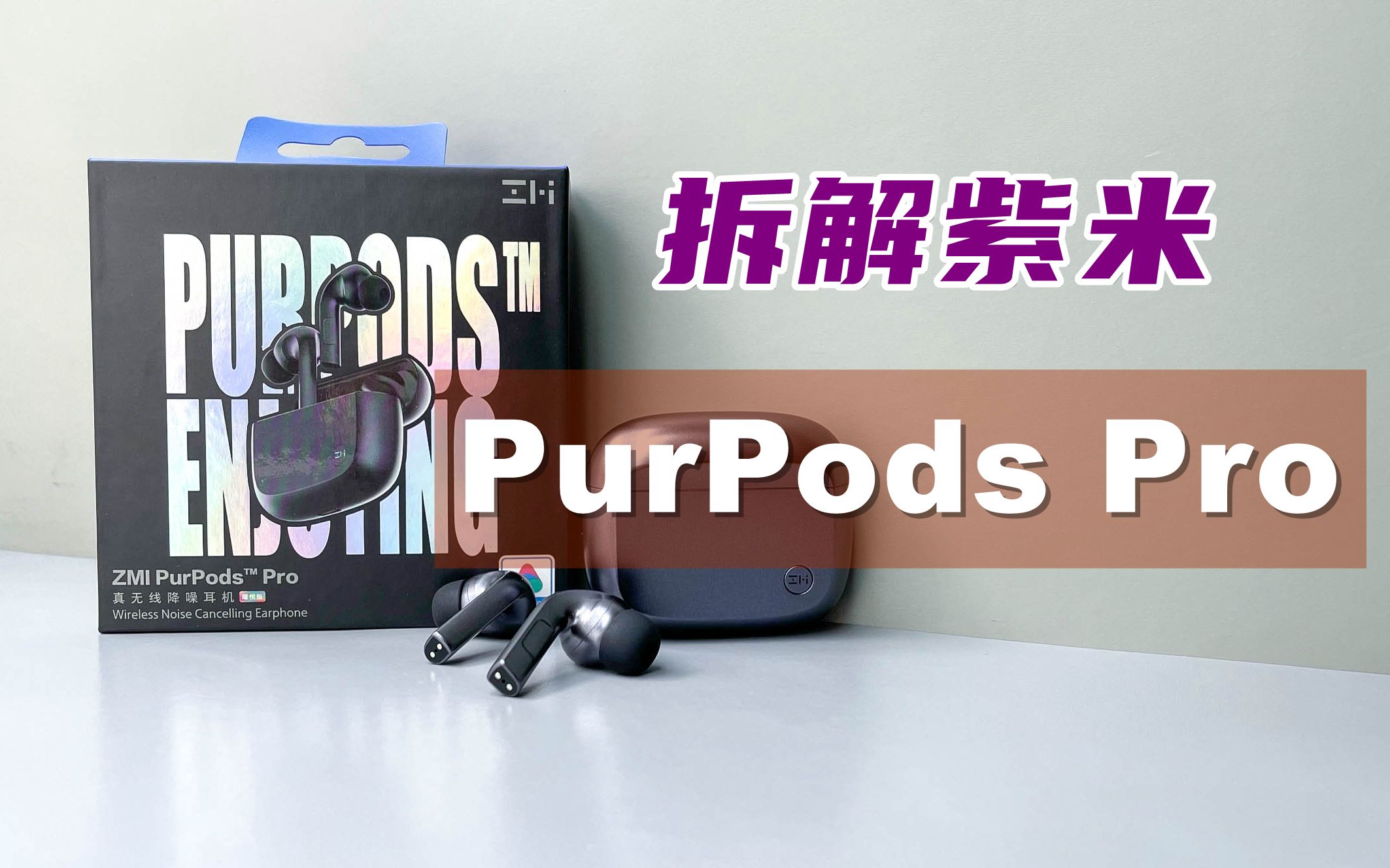 ⡿399ԪPurPods Proô