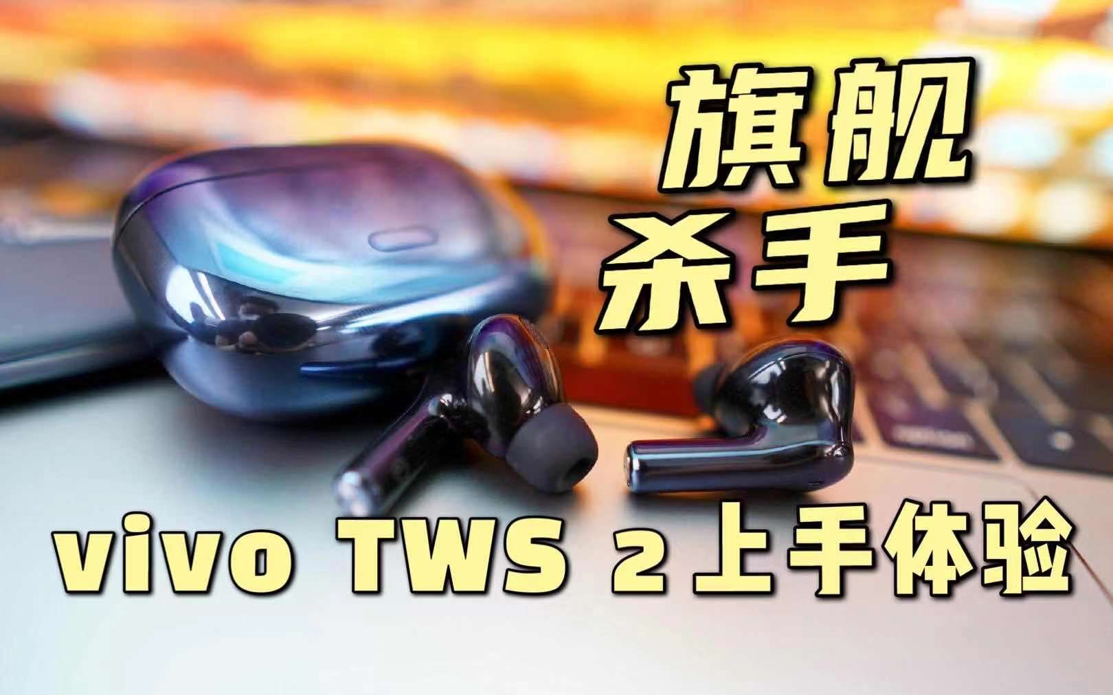 ʣҲж༶룺vivo TWS 2