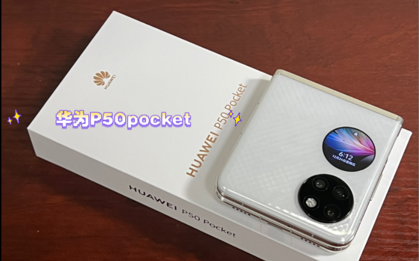 λáֻлΪP50pocket׼򵥿䡣