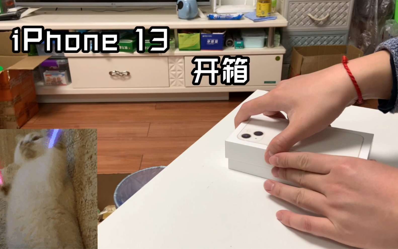 ￪䡿iPhone 13  256G  ǹɫ ߵȦ