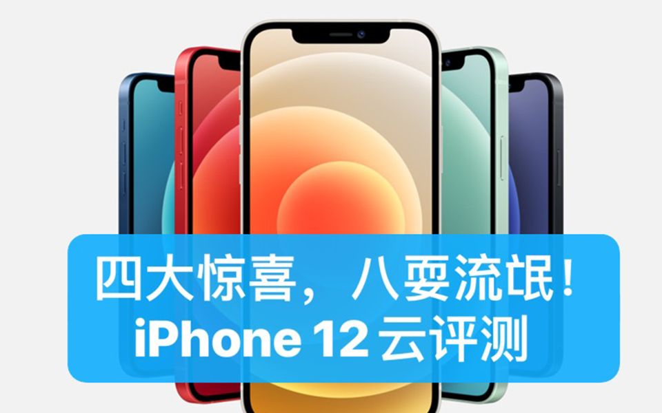 ĴϲˣåiPhone 12 miniProMax